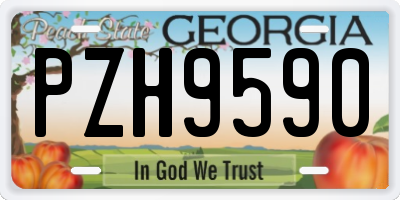 GA license plate PZH9590