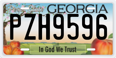 GA license plate PZH9596