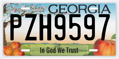 GA license plate PZH9597