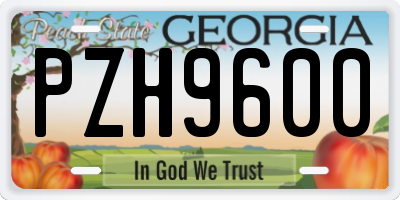 GA license plate PZH9600