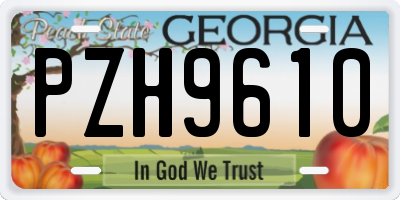 GA license plate PZH9610