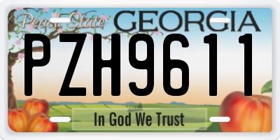 GA license plate PZH9611