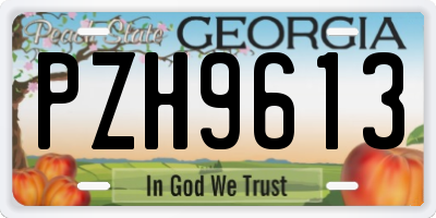 GA license plate PZH9613