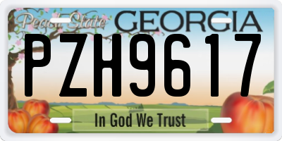 GA license plate PZH9617