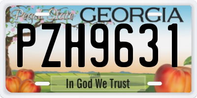 GA license plate PZH9631