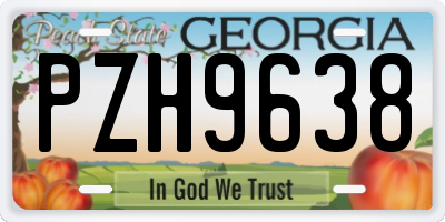 GA license plate PZH9638
