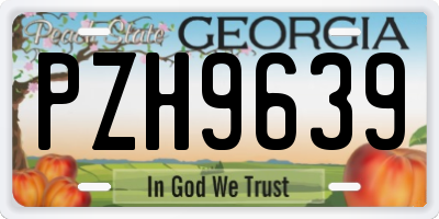 GA license plate PZH9639