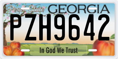 GA license plate PZH9642