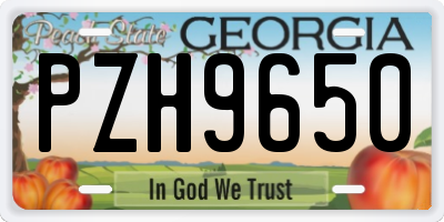 GA license plate PZH9650