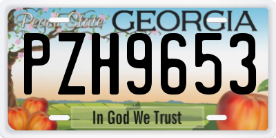 GA license plate PZH9653