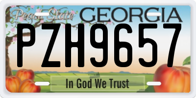 GA license plate PZH9657
