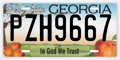 GA license plate PZH9667