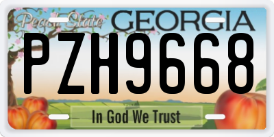 GA license plate PZH9668