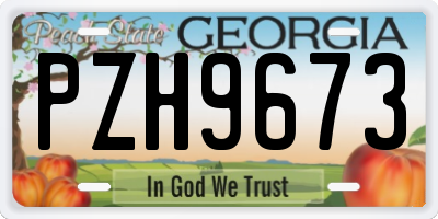 GA license plate PZH9673
