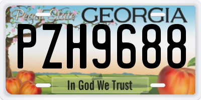 GA license plate PZH9688