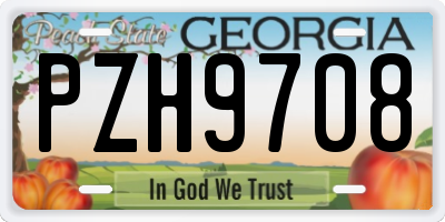GA license plate PZH9708