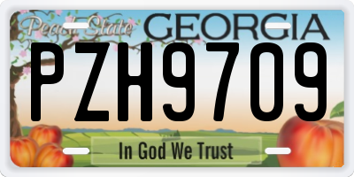 GA license plate PZH9709