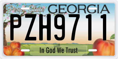 GA license plate PZH9711