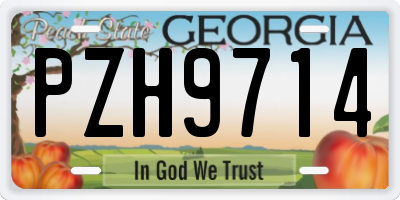GA license plate PZH9714