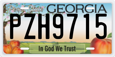 GA license plate PZH9715