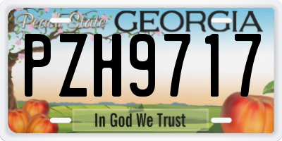 GA license plate PZH9717