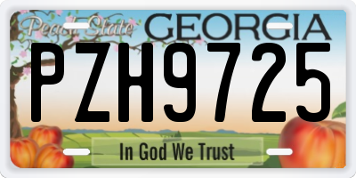 GA license plate PZH9725