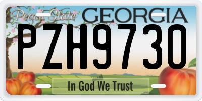 GA license plate PZH9730