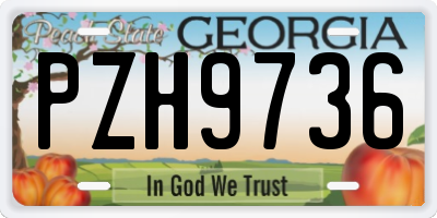 GA license plate PZH9736