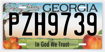 GA license plate PZH9739