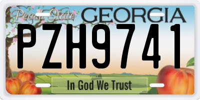 GA license plate PZH9741