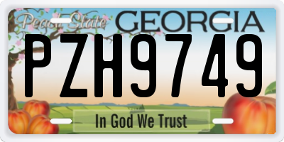 GA license plate PZH9749