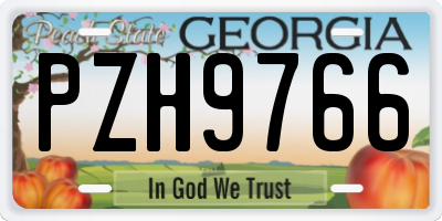 GA license plate PZH9766