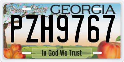 GA license plate PZH9767