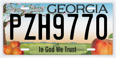 GA license plate PZH9770