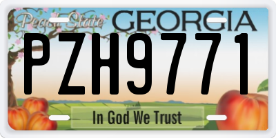 GA license plate PZH9771