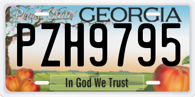 GA license plate PZH9795