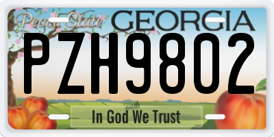 GA license plate PZH9802