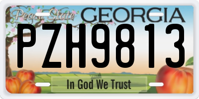 GA license plate PZH9813