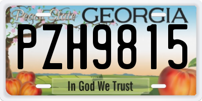 GA license plate PZH9815