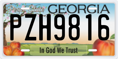 GA license plate PZH9816