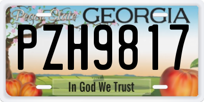 GA license plate PZH9817