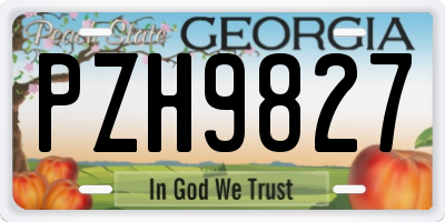 GA license plate PZH9827