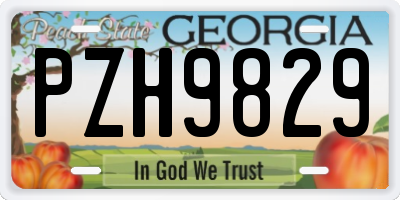 GA license plate PZH9829