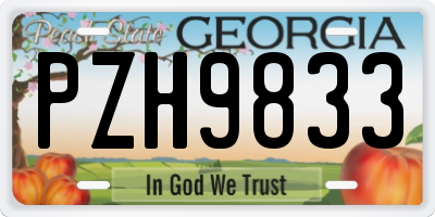 GA license plate PZH9833