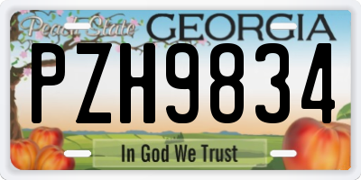 GA license plate PZH9834