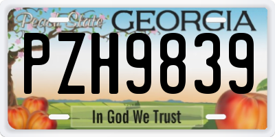 GA license plate PZH9839