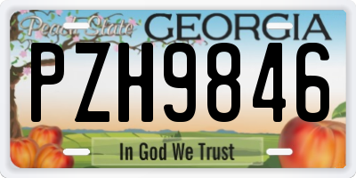 GA license plate PZH9846