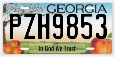 GA license plate PZH9853