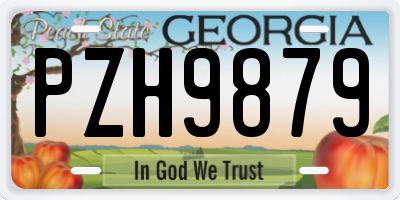 GA license plate PZH9879