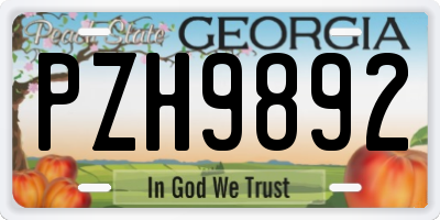 GA license plate PZH9892